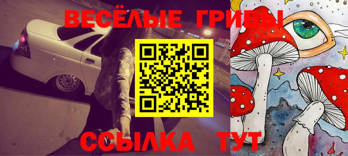 Кострома  Псилоцибиновые грибы ЛСД  Псилоцибиновые грибы ЛСД  Вход с VPN 